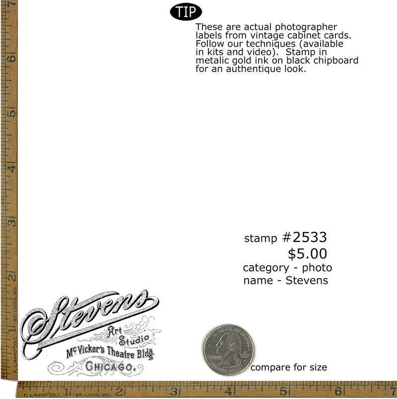 #2533 - Stevens - Photo